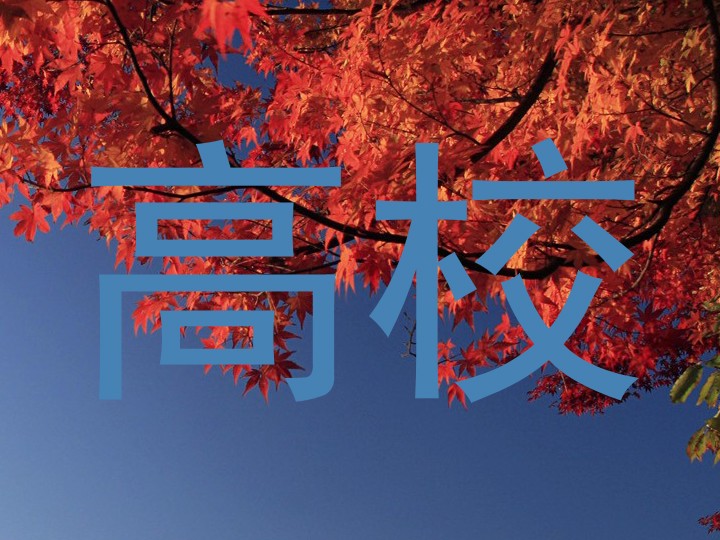 高校