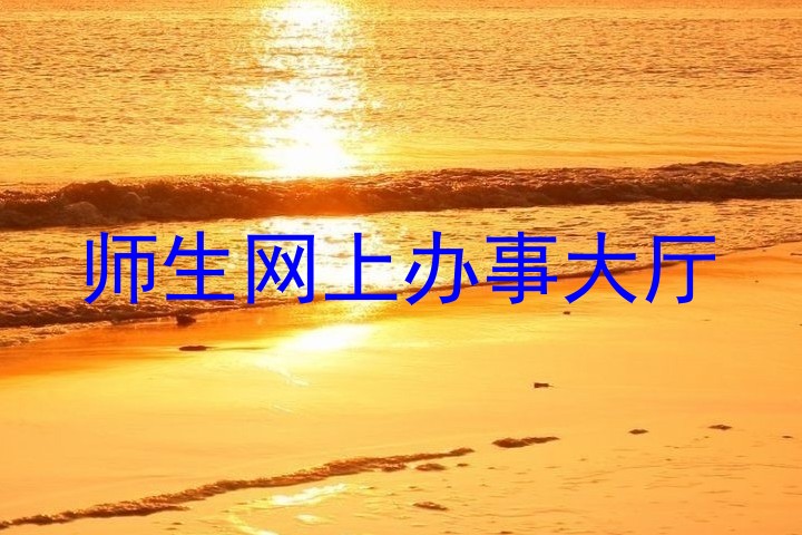 师生网上办事大厅