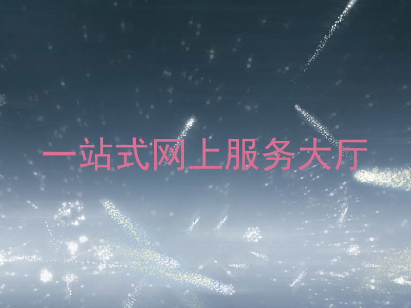 一站式网上服务大厅