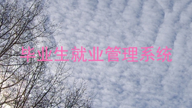 毕业生就业管理系统