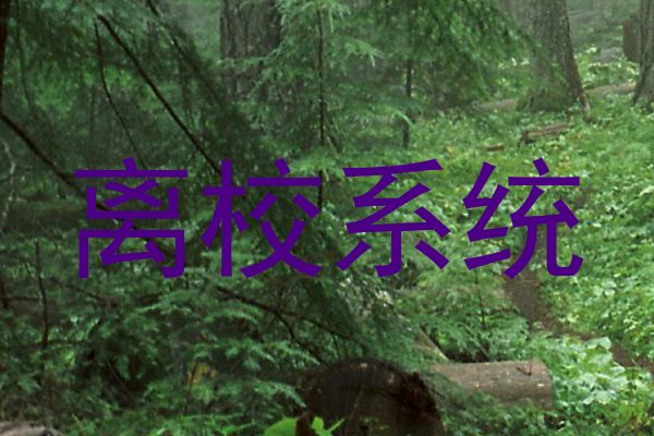 离校系统