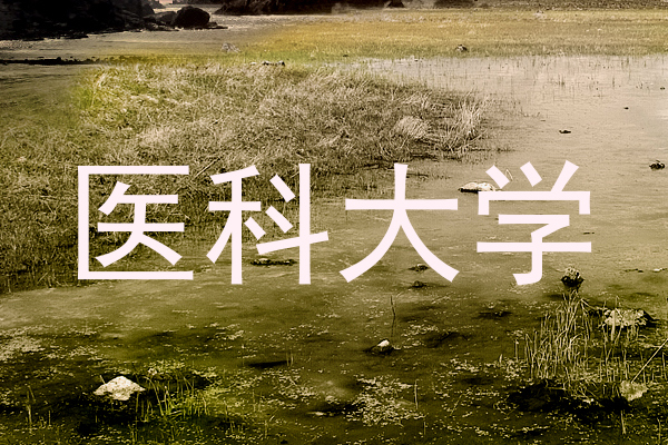 医科大学