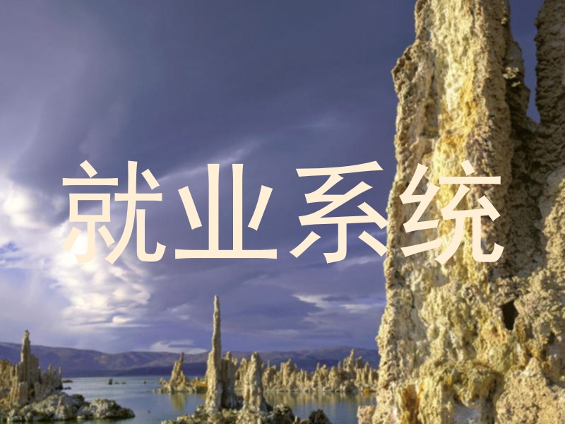 就业系统