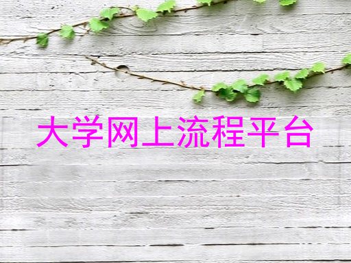 大学网上流程平台