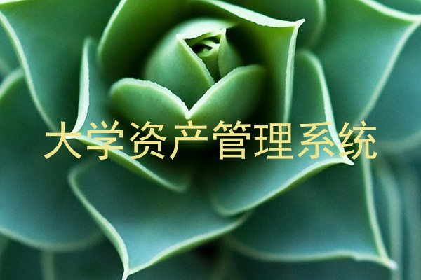 大学资产管理系统