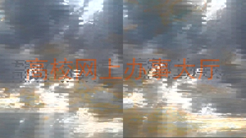 高校网上办事大厅
