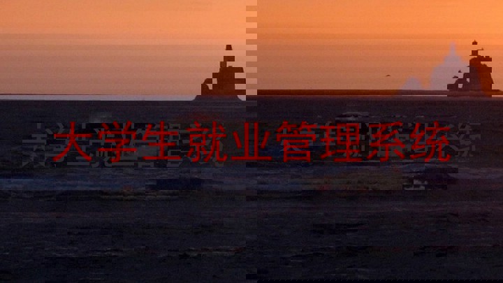 大学生就业管理系统