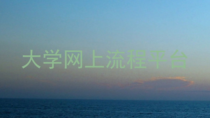 大学网上流程平台