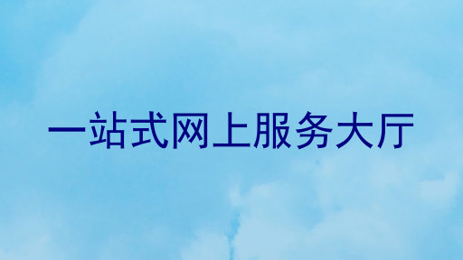 一站式网上服务大厅