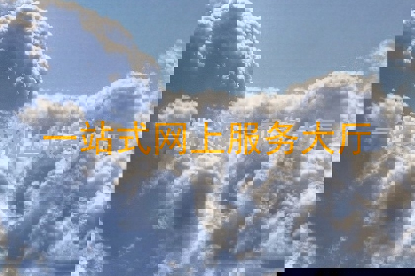 一站式网上服务大厅