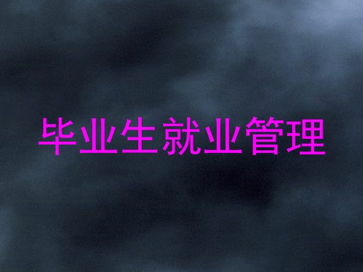 毕业生就业管理