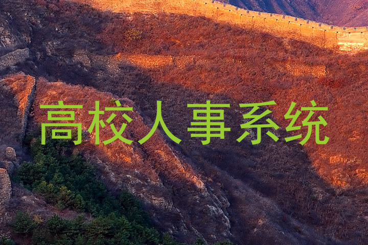 高校人事系统