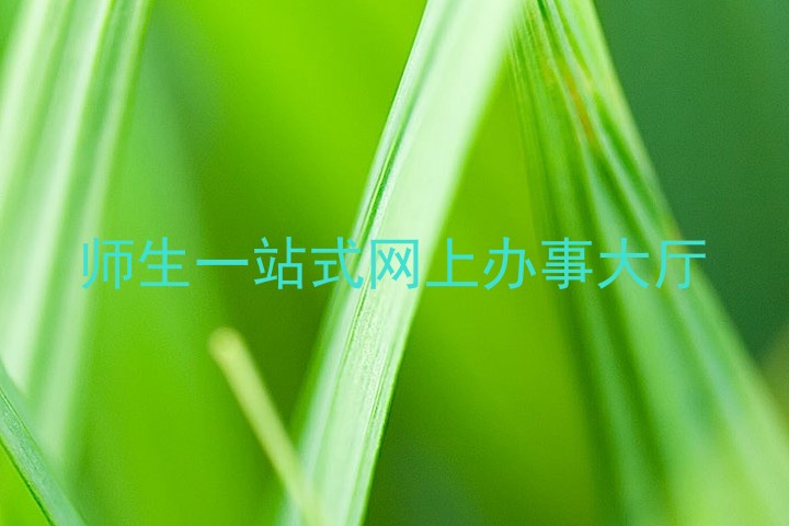 师生一站式网上办事大厅