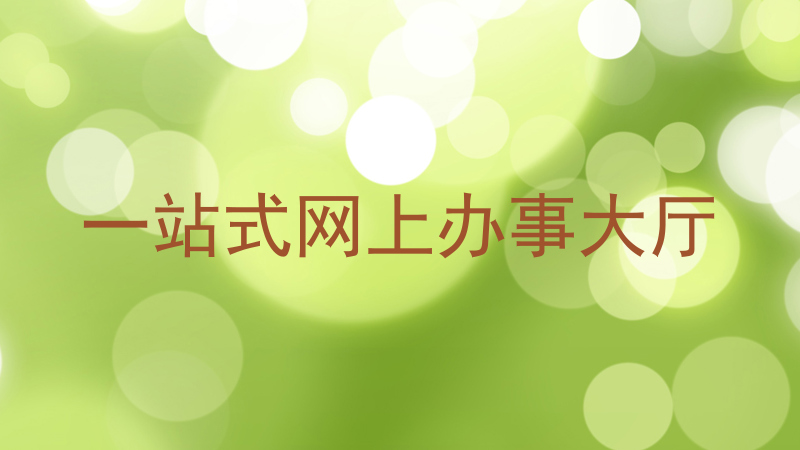一站式网上办事大厅