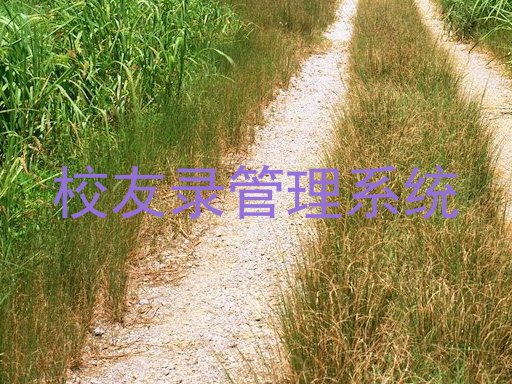 校友录管理系统
