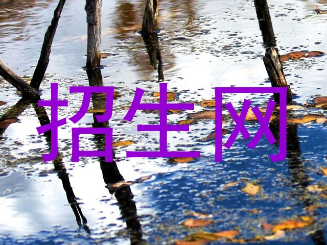招生网