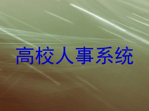 高校人事系统