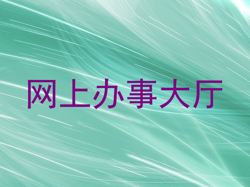 网上办事大厅