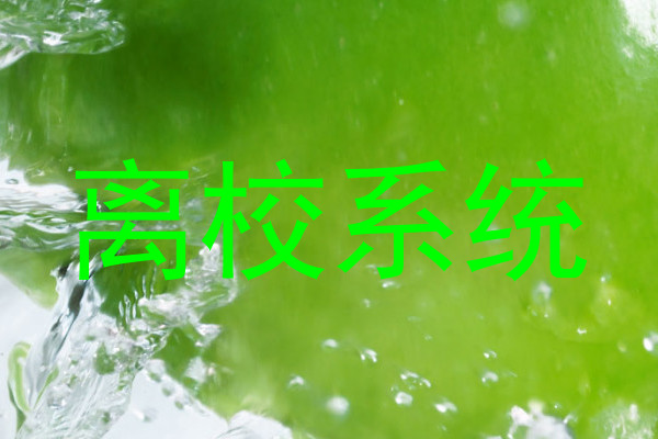 离校系统