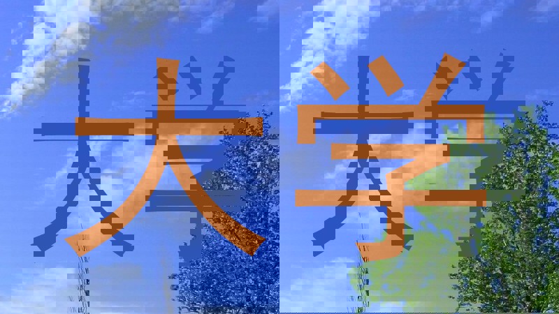 大学
