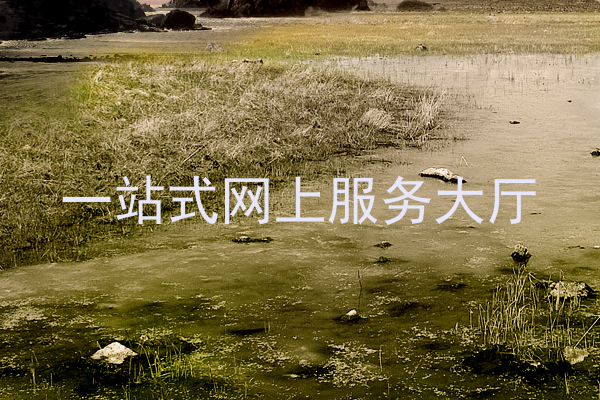 一站式网上服务大厅