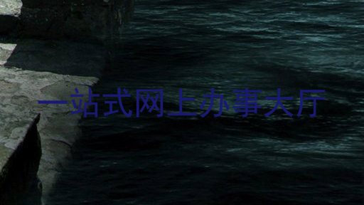 一站式网上办事大厅