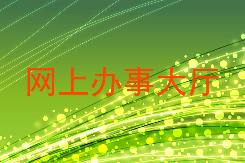 网上办事大厅