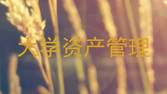 大学资产管理