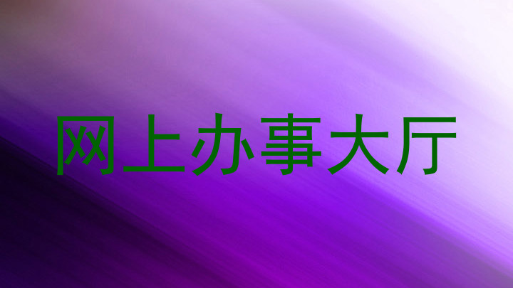 网上办事大厅