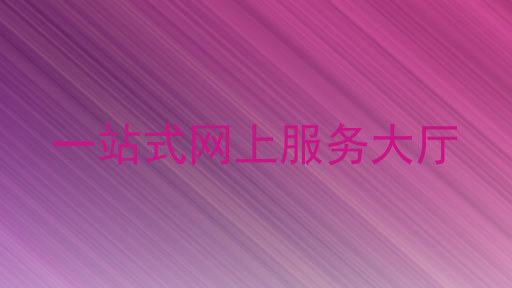 一站式网上服务大厅