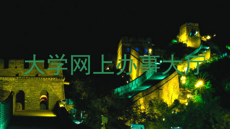 大学网上办事大厅