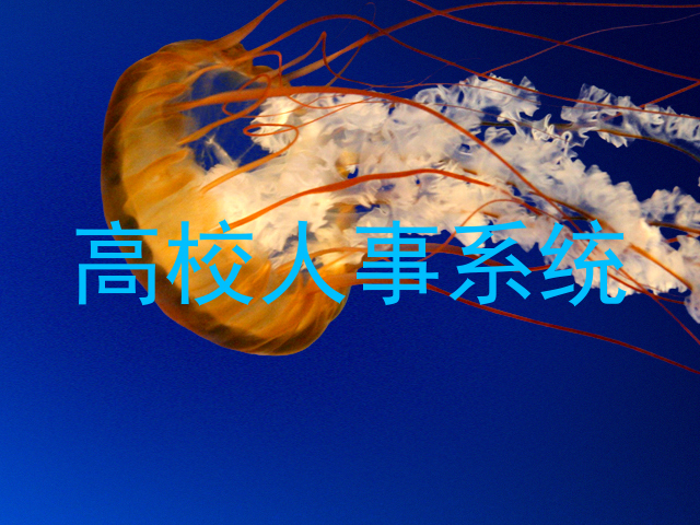 高校人事系统