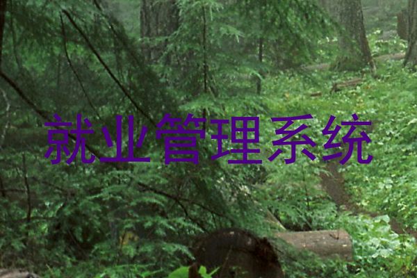 就业管理系统