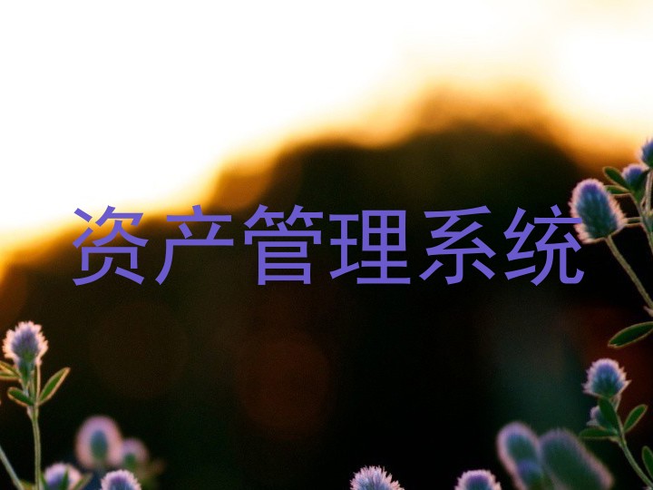 资产管理系统