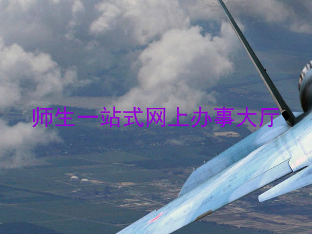 师生一站式网上办事大厅