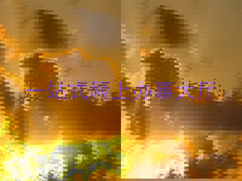 一站式网上办事大厅