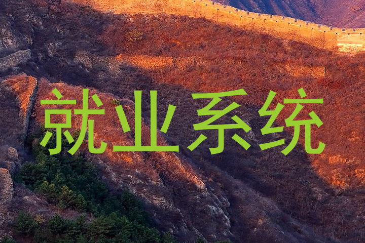 就业系统