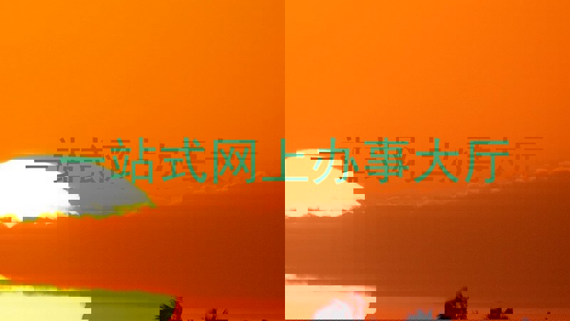 一站式网上办事大厅