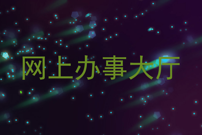 网上办事大厅