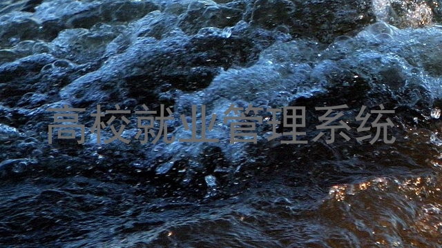 高校就业管理系统