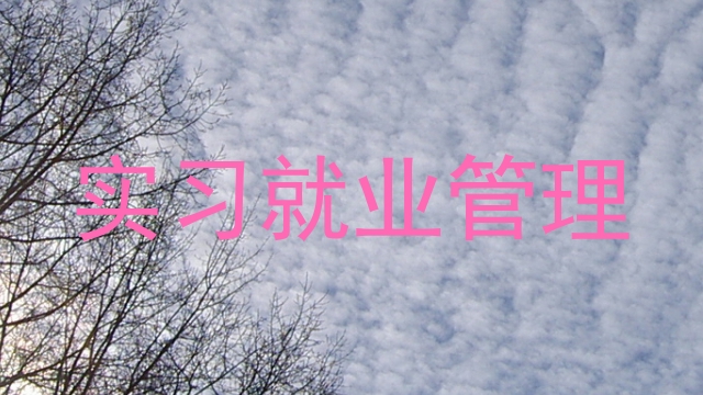实习就业管理