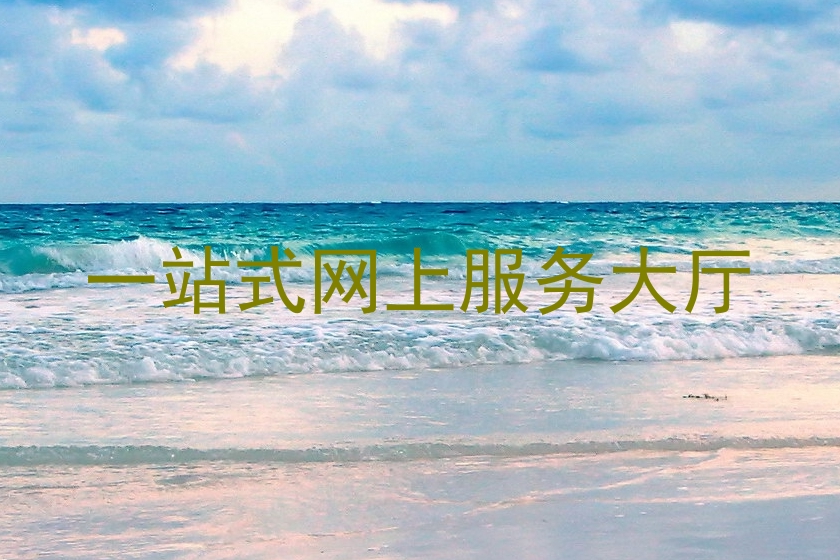 一站式网上服务大厅