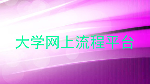 大学网上流程平台