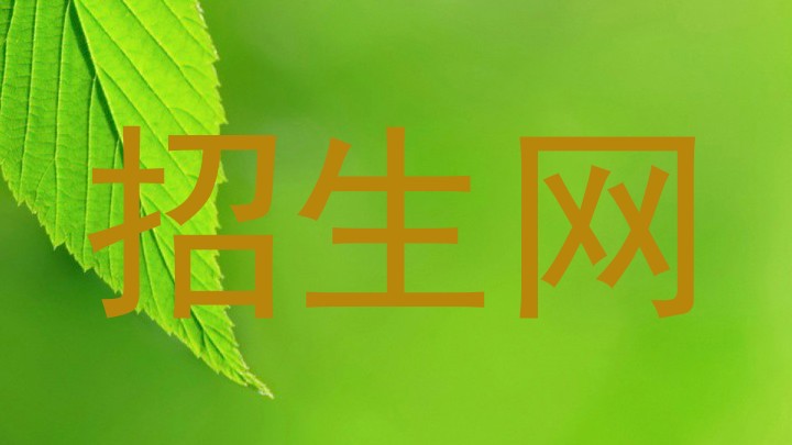 招生网