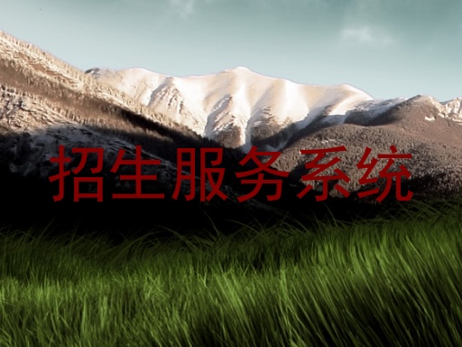 招生服务系统