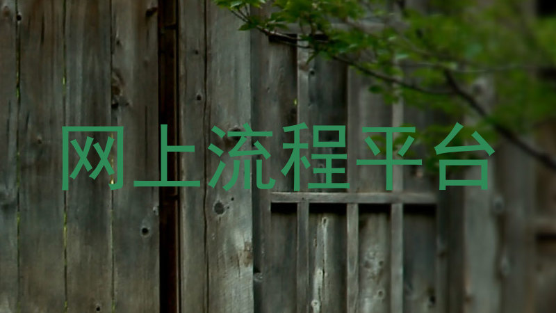 网上流程平台