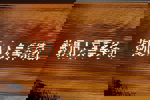 教师人事系统