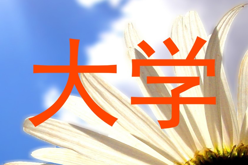 大学