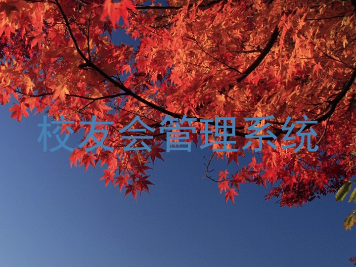 校友会管理系统