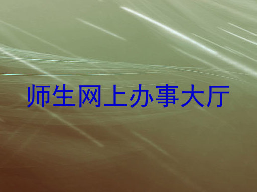 师生网上办事大厅